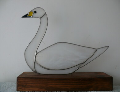 Bewick swan on Wood