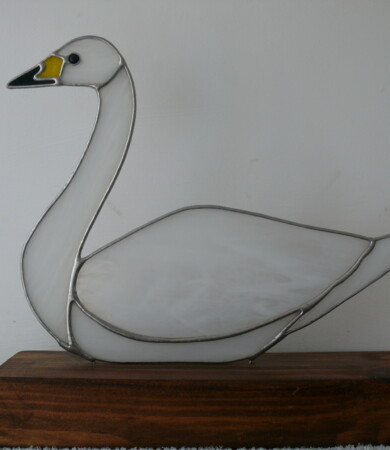 Bewick swan on Wood