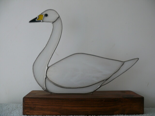 Bewick swan on Wood