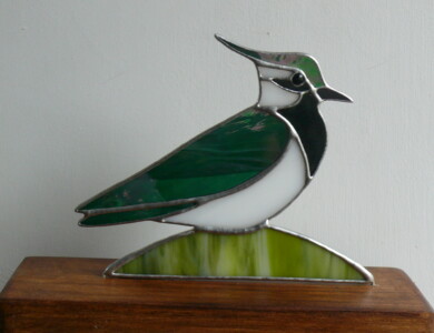 Lapwing on Wood