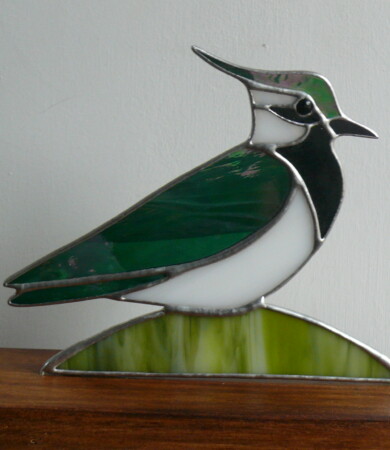 Lapwing on Wood