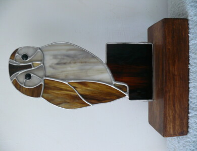 Tawny Owl on Wood